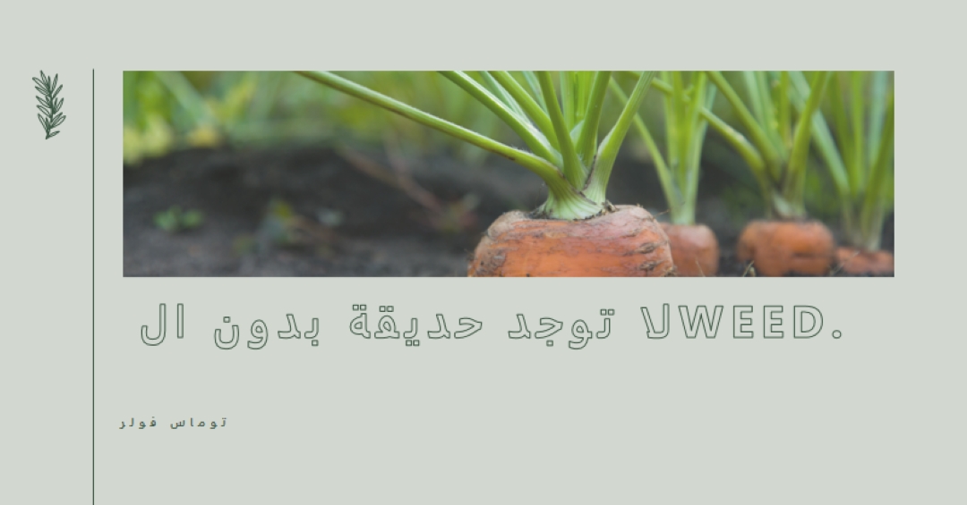 جذور عميقة green modern-simple