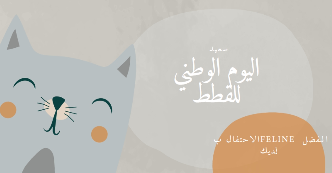 عيد قطة وطنية سعيدة gray organic-simple