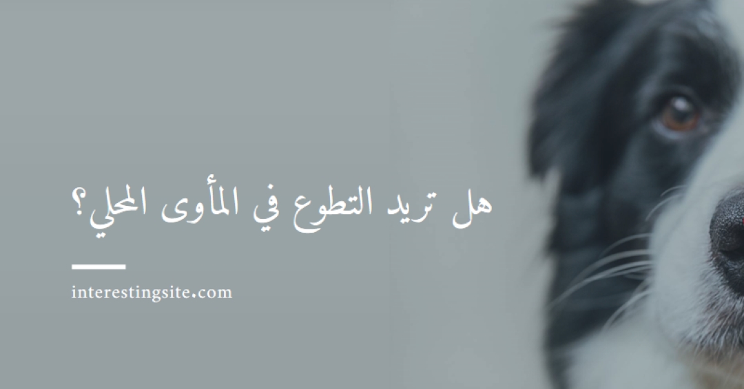 تطوع واجلب الهتاف blue modern-simple