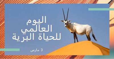 الاحتفال بالحياة البرية orange modern-bold