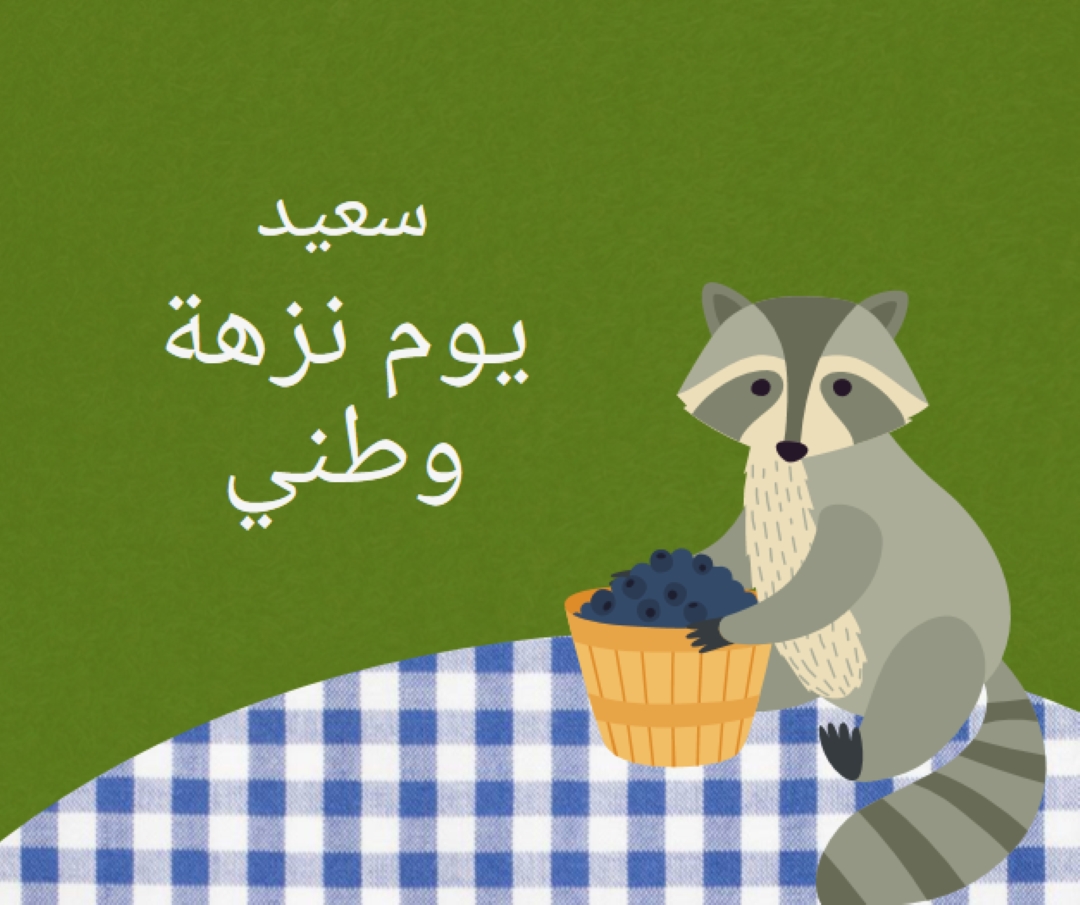 يوم نزهة وطني سعيد green whimsical-color-block