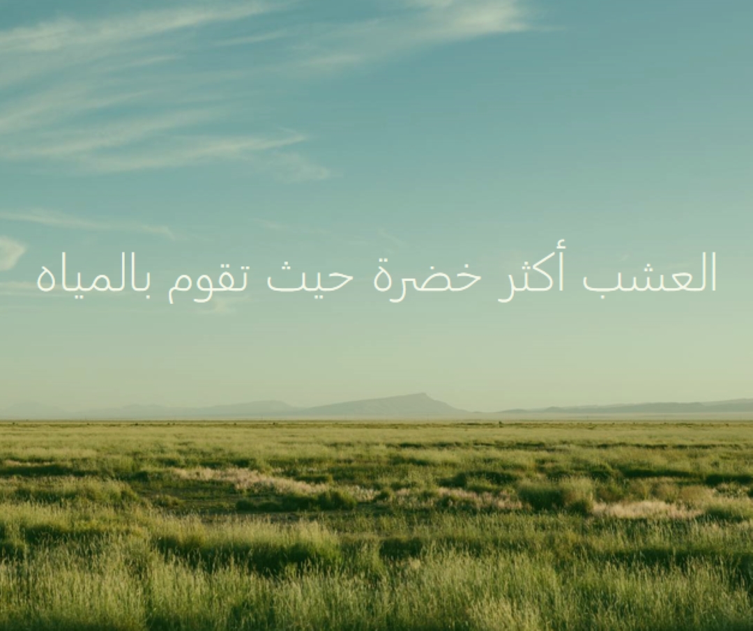 طبيعة أفضل blue modern-simple
