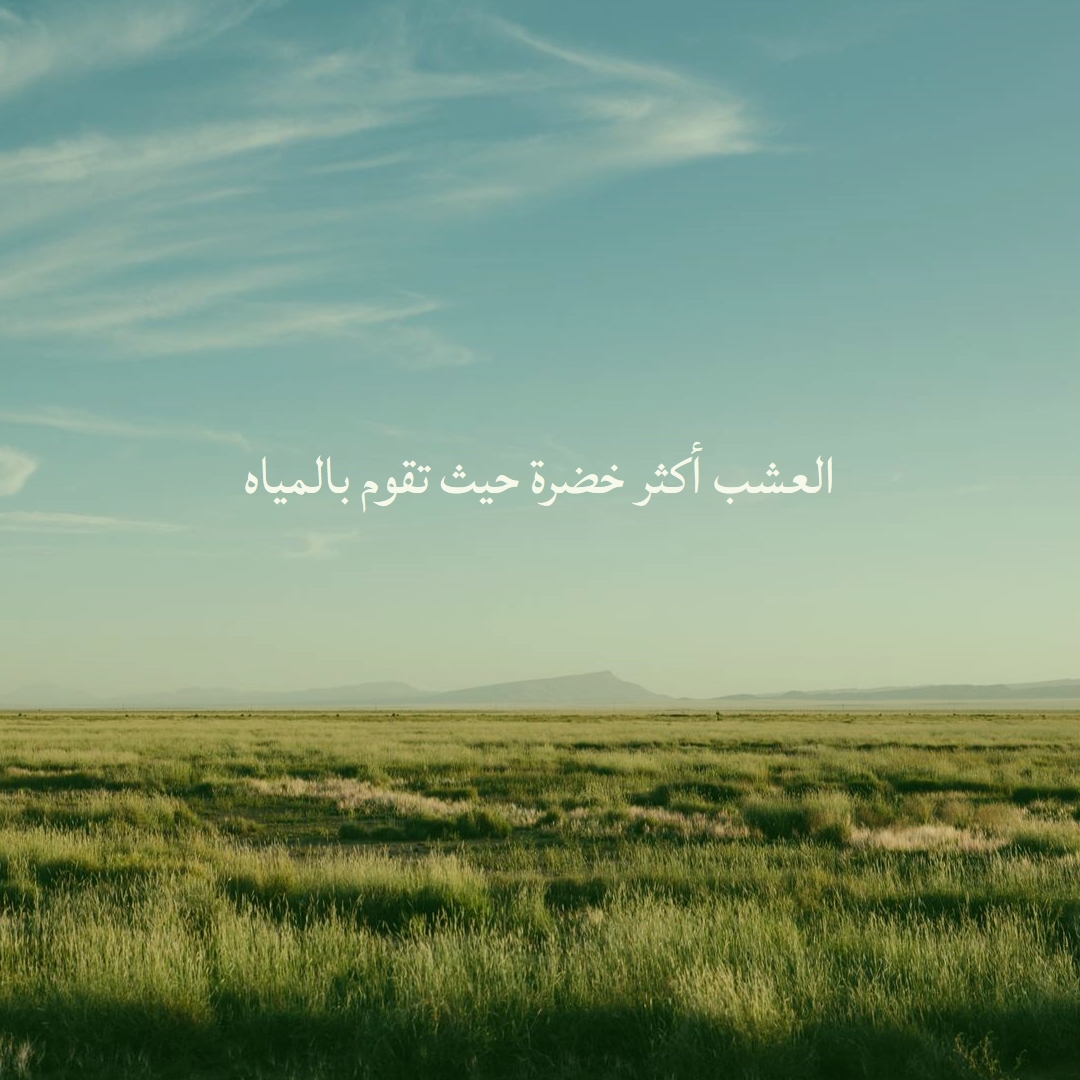 طبيعة أفضل blue modern-simple