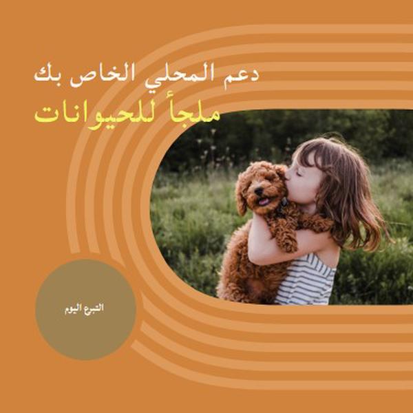 مساعد المأوى orange whimsical-color-block