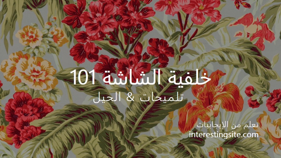 تم استرداده بالكامل green modern-simple