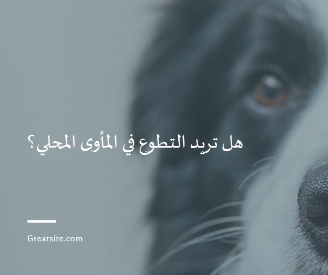 تطوع واجلب الهتاف blue modern-simple