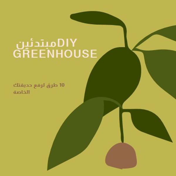 رفع الحديقة الخاصة بك green modern-color-block