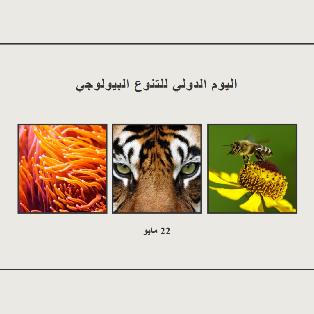 إنعاش الطبيعة gray modern-simple