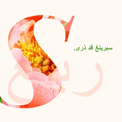 تمهيد الربيع pink vintage-botanical