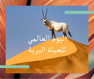 الاحتفال بالحياة البرية orange modern-bold