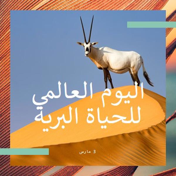 الاحتفال بالحياة البرية orange modern-bold