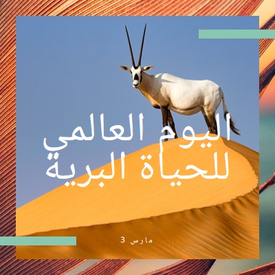 الاحتفال بالحياة البرية orange modern-bold