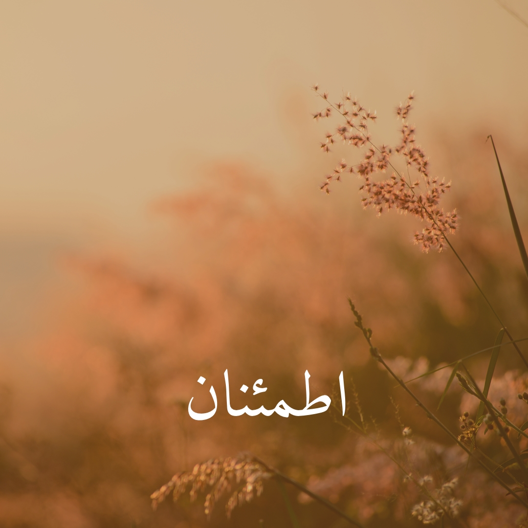حقول السكينة brown modern,minimal,nature,quiet,soft,plants