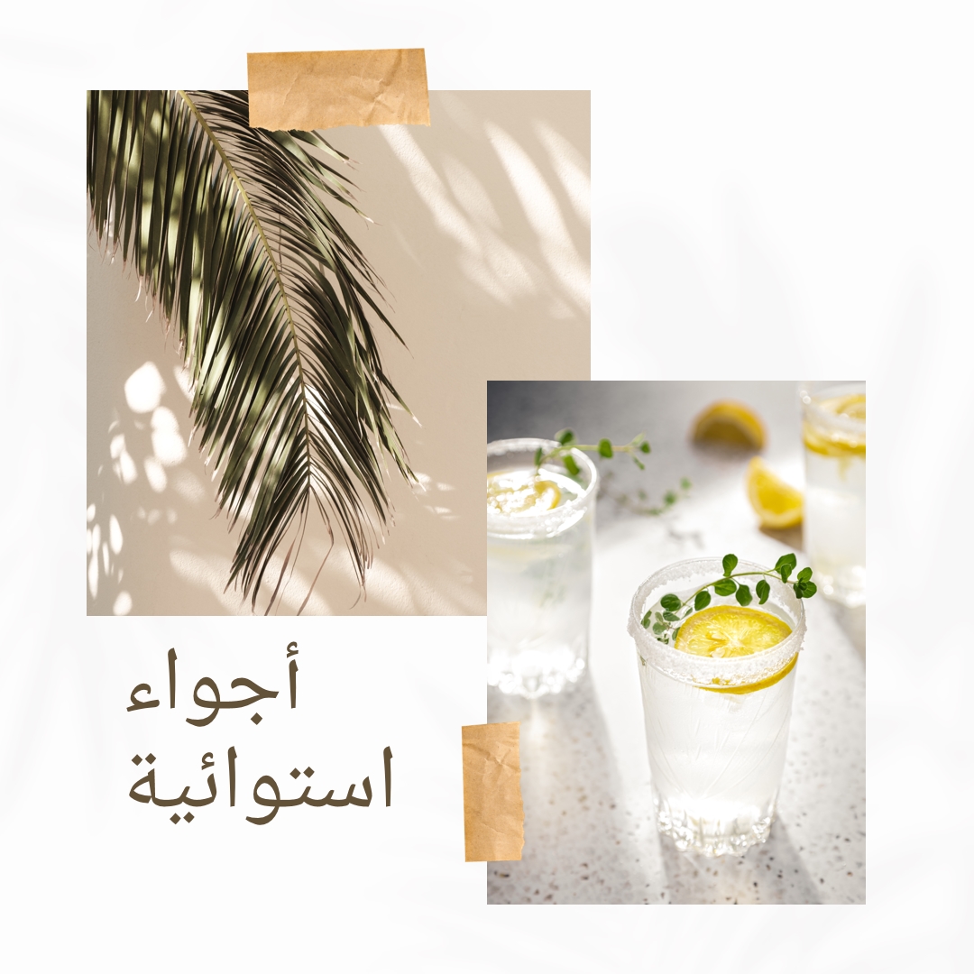 مشروبات كوكتيل استوائية white photographic,collage,minimal,scrapbook,handwriting,botanical,