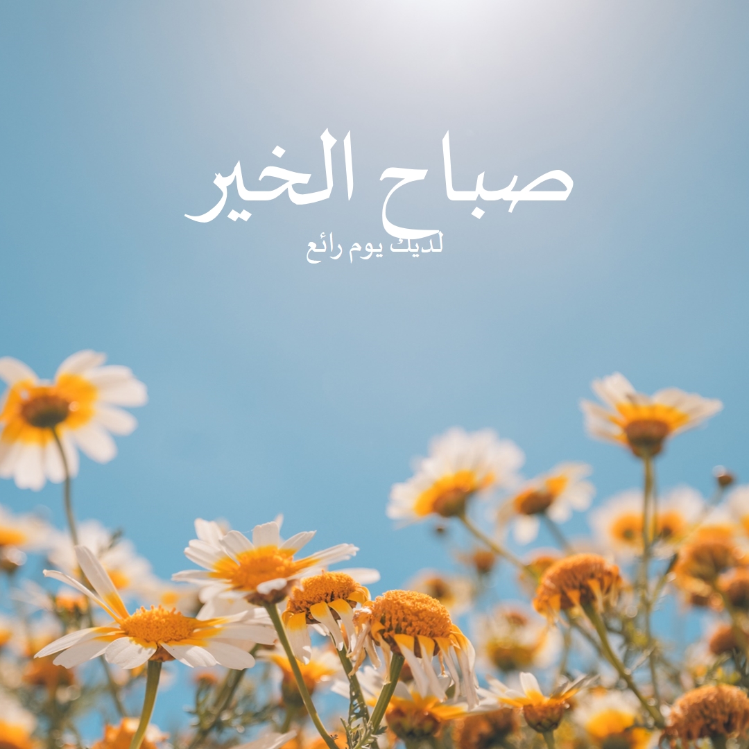 لديك يوم رائع blue modern,simple,photography,flowers,birght,fresh