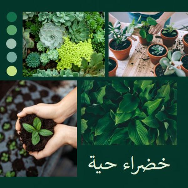 الإبهام الأخضر الذي يعيش green photographic,simple,collage,palette,handwriting,graphic