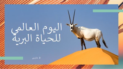 الاحتفال بالحياة البرية orange modern-bold