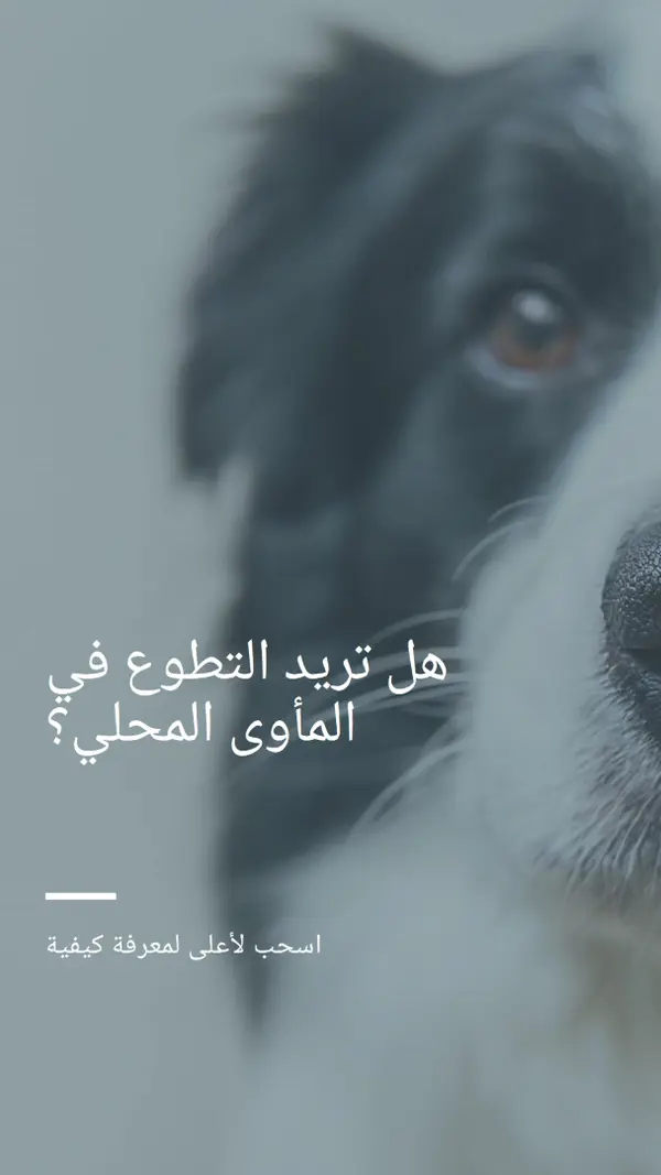 تطوع واجلب الهتاف blue modern-simple