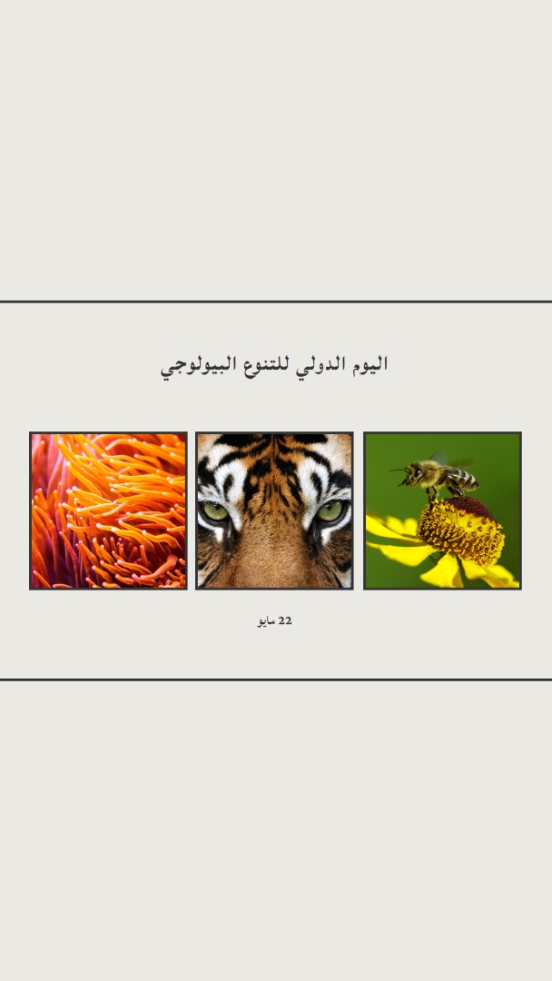 إنعاش الطبيعة gray modern-simple