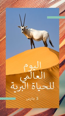 الاحتفال بالحياة البرية orange modern-bold