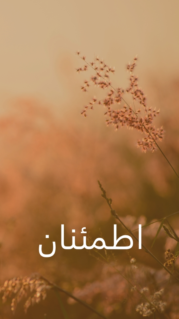 حقول السكينة brown modern,minimal,nature,quiet,soft,plants