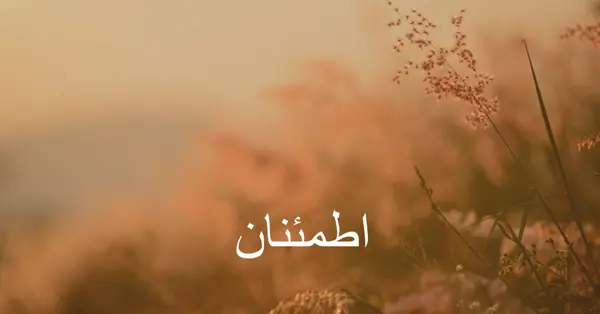 حقول السكينة brown modern,minimal,nature,quiet,soft,plants