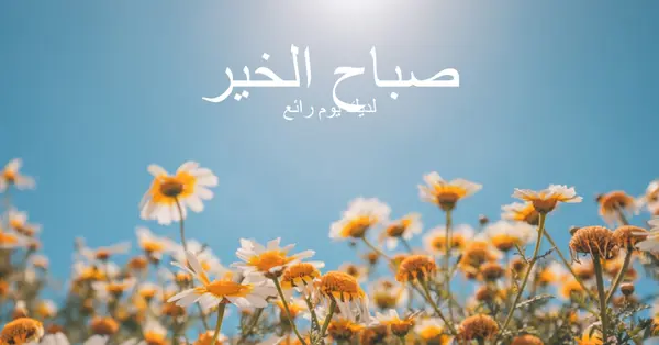 لديك يوم رائع blue modern,simple,photography,flowers,birght,fresh