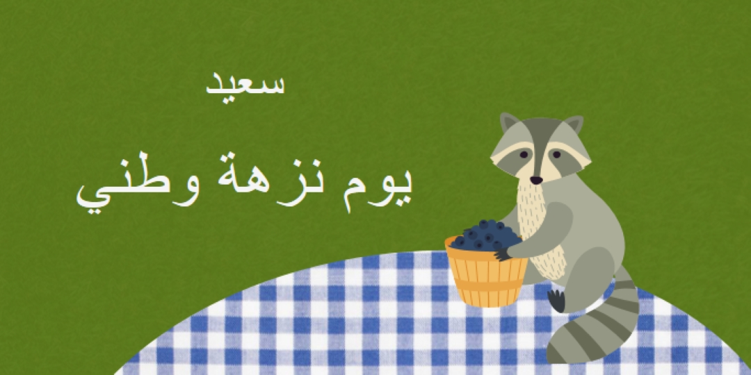 يوم نزهة وطني سعيد green whimsical-color-block