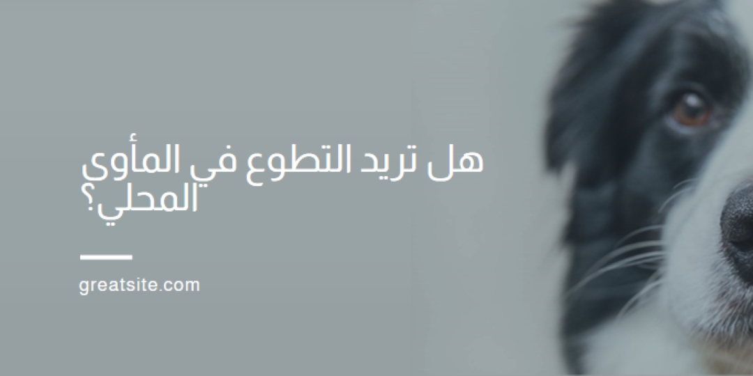 تطوع واجلب الهتاف blue modern-simple