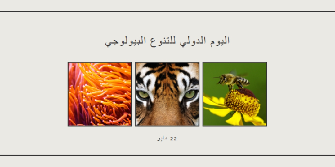 إنعاش الطبيعة gray modern-simple
