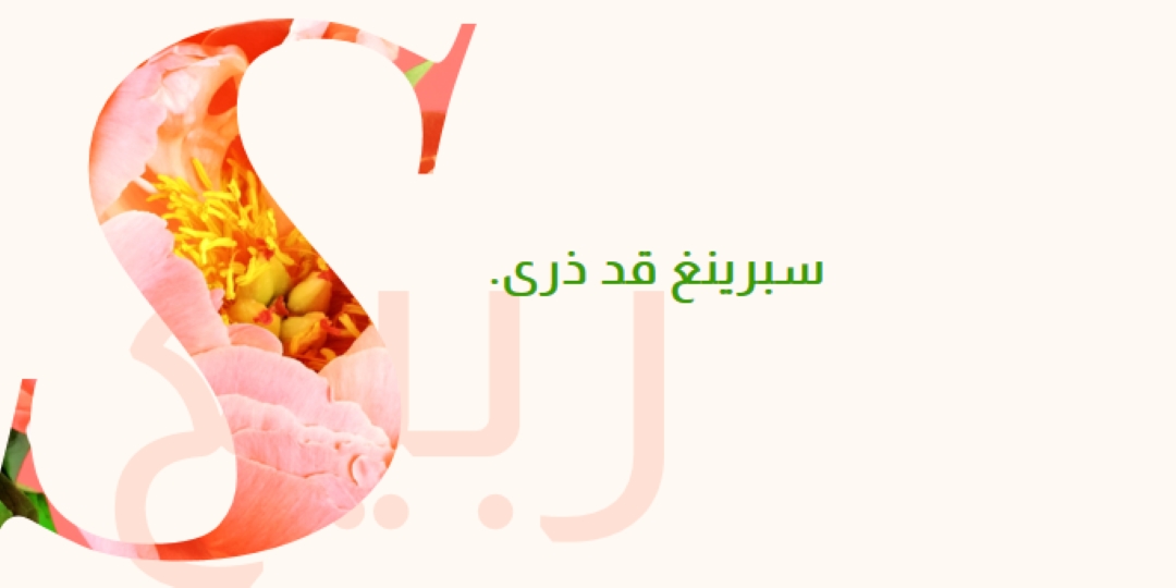تمهيد الربيع pink vintage-botanical