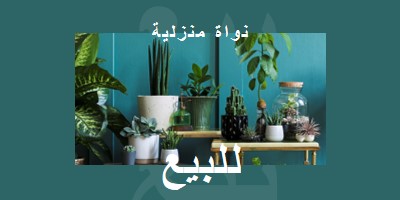 طاقة المحطة green modern-bold