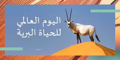 الاحتفال بالحياة البرية orange modern-bold