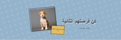 فرصة ثانية pup blue modern-bold