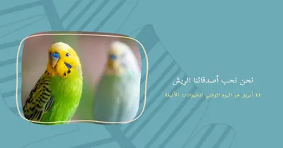 ريشة معا blue organic-simple