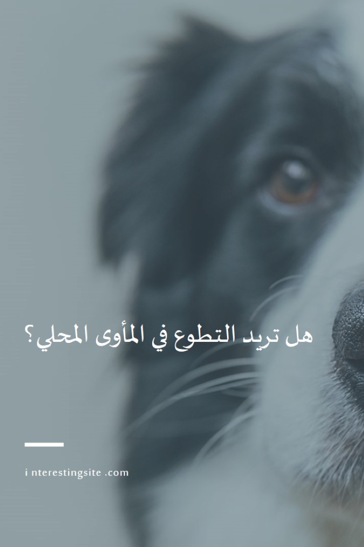 تطوع واجلب الهتاف blue modern-simple