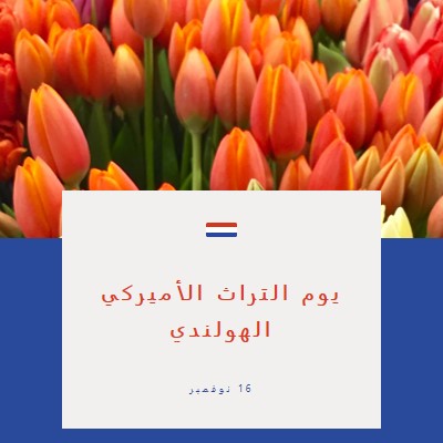 الاحتفال بالتجذر الهولندي orange modern-simple