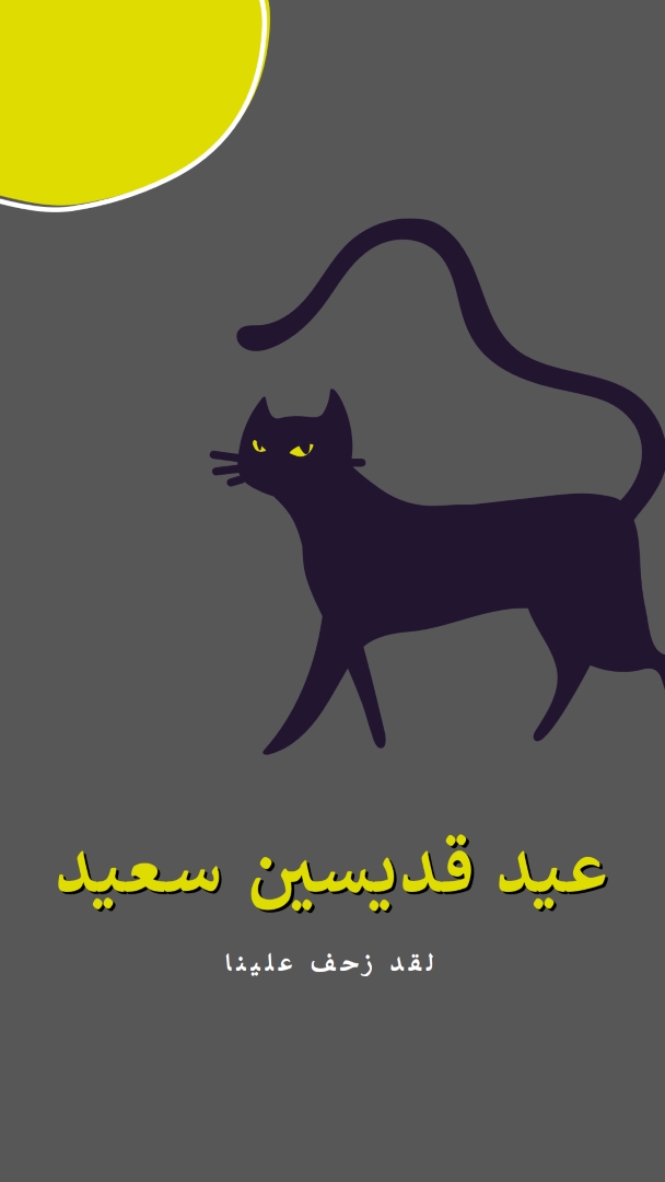 قطة زاحفة black whimsical-color-block