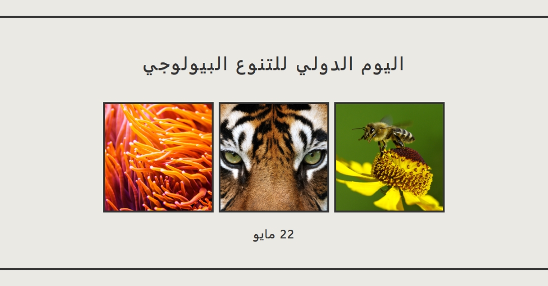 إنعاش الطبيعة gray modern-simple