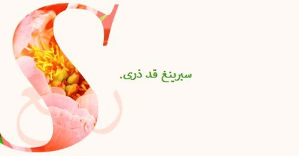 تمهيد الربيع pink vintage-botanical