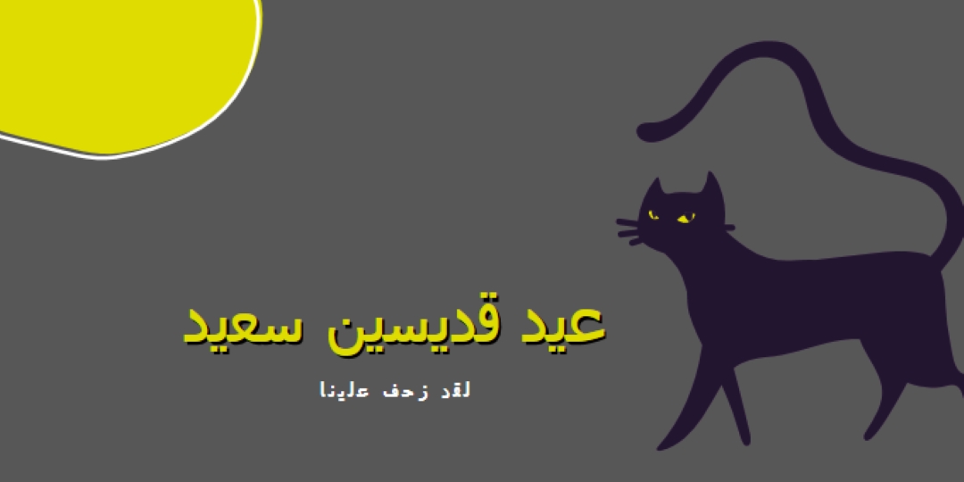 قطة زاحفة black whimsical-color-block