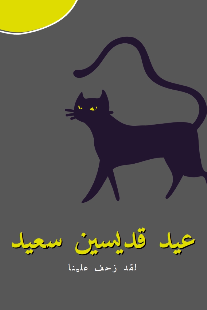قطة زاحفة black whimsical-color-block