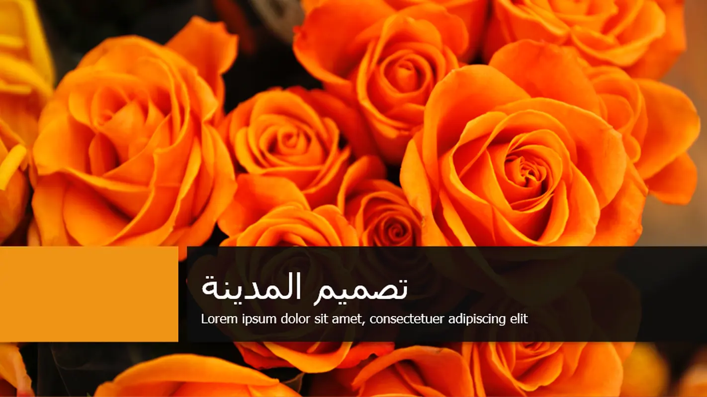 تصميم المدينة