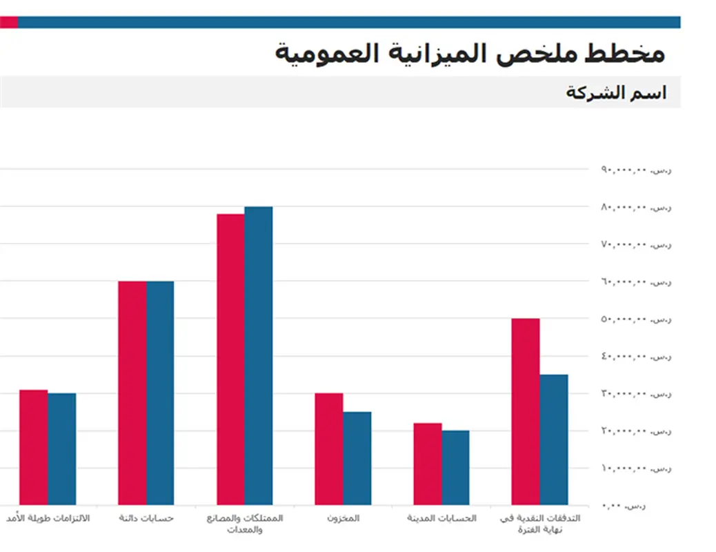 تقرير ملخص الميزانية