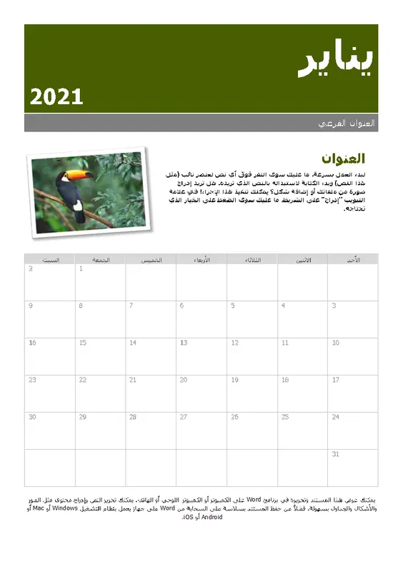 تقويم اللقطة modern-simple