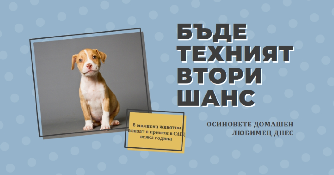 Кученце с втори шанс blue modern-bold