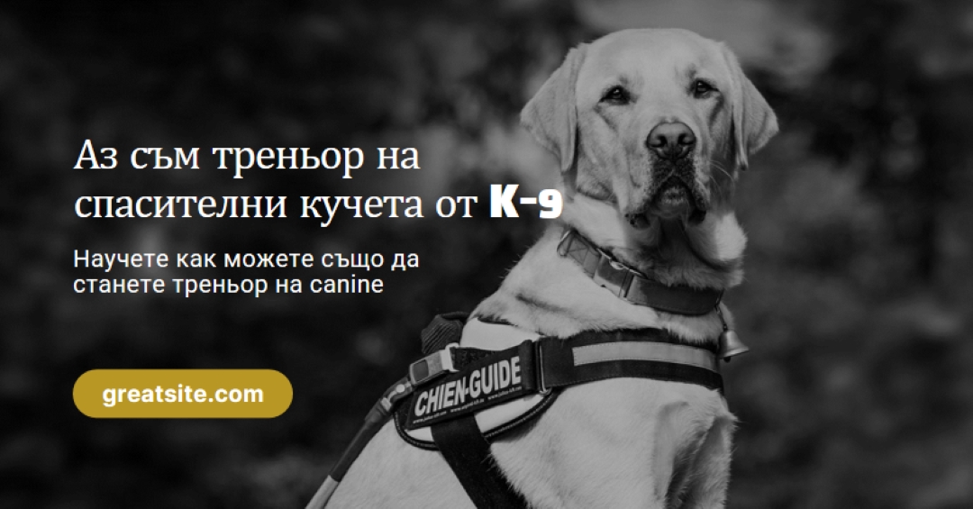 Аз съм треньор на спасителни кучета black modern-simple