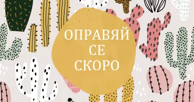 Жертва на кактус gray whimsical-color-block
