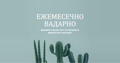 Месечен тест за награди green modern-simple