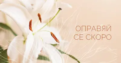 Оздравяйте скоро с цветя pink modern-simple